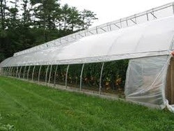 Greenhouse & Tunnel