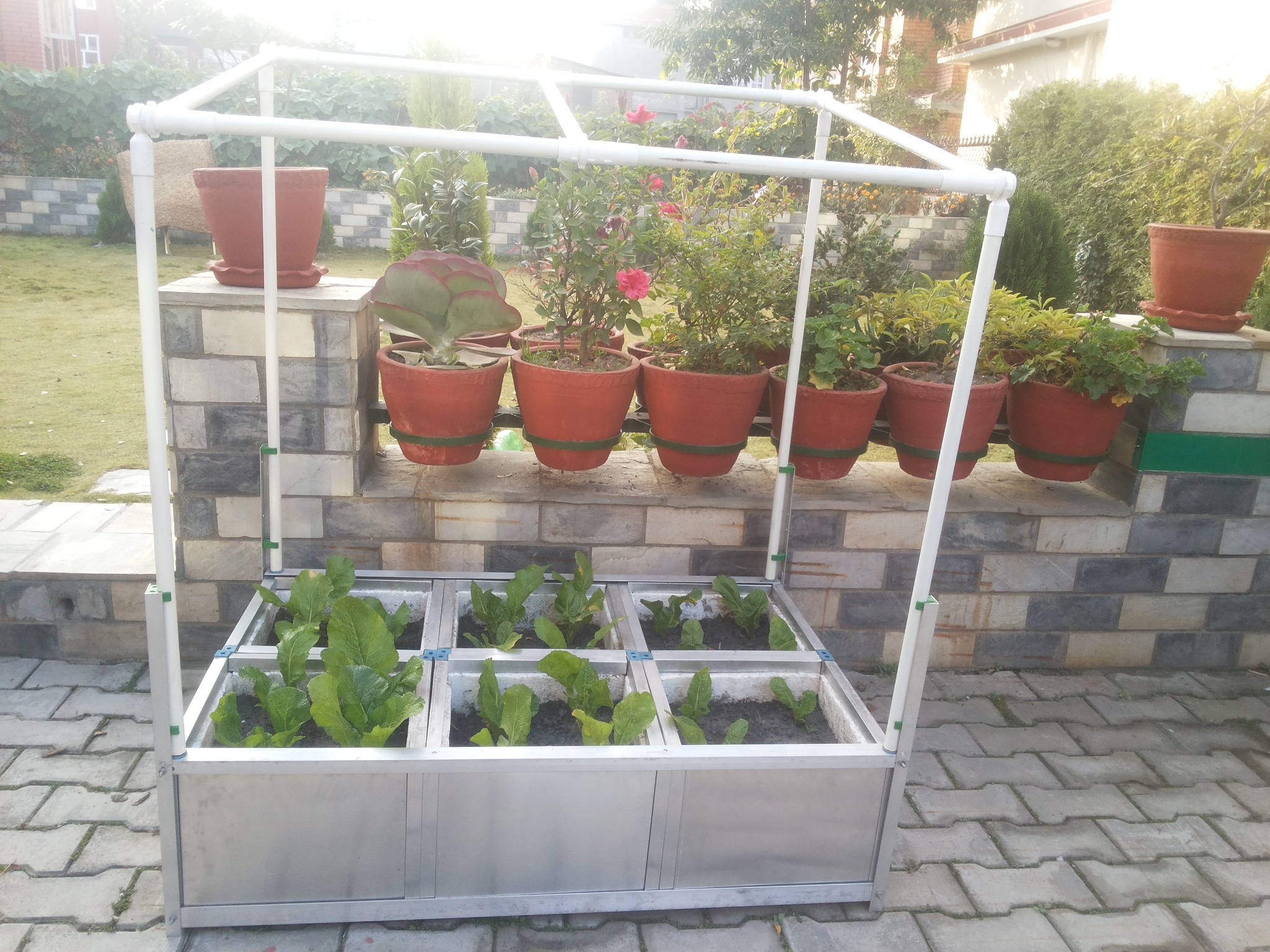 Vegetable Production Unit